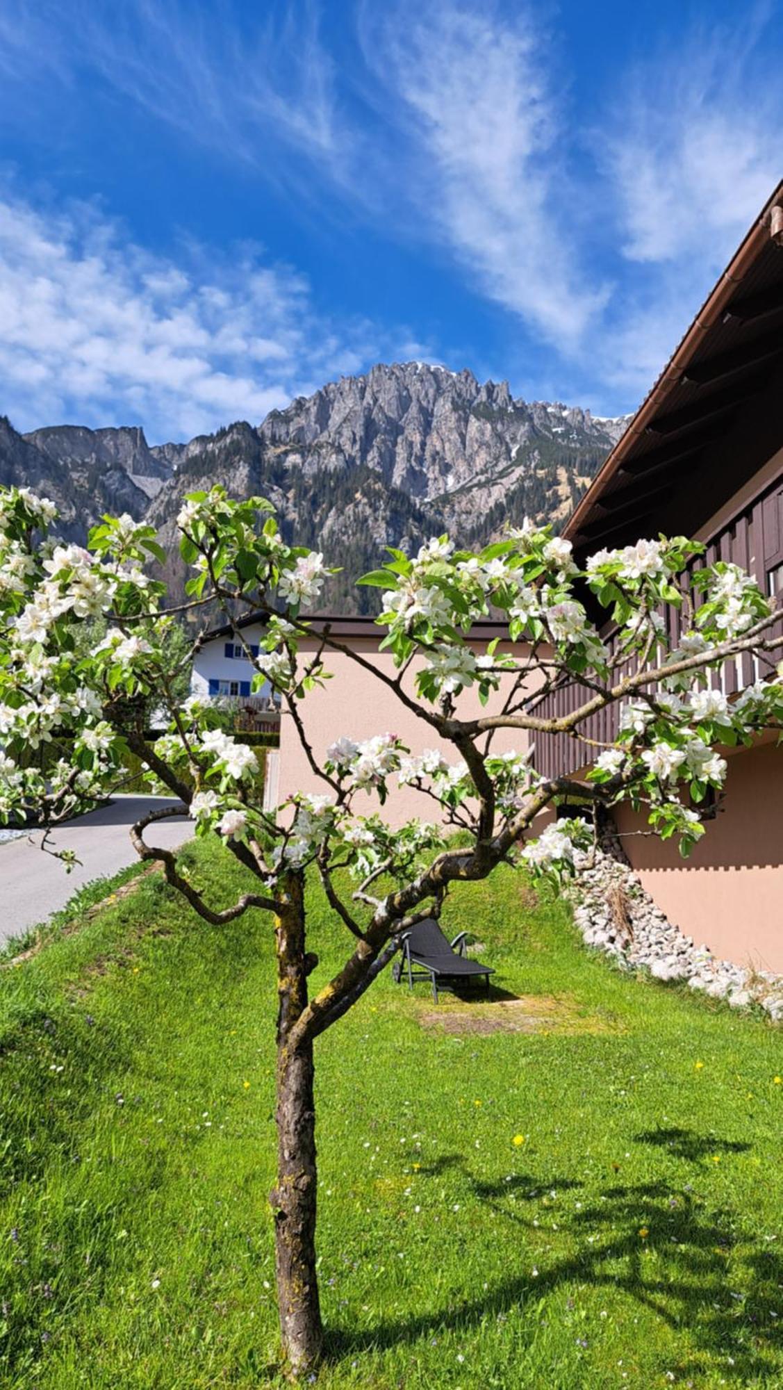 Baers Mountain Stay Ausserbraz Innerbraz エクステリア 写真