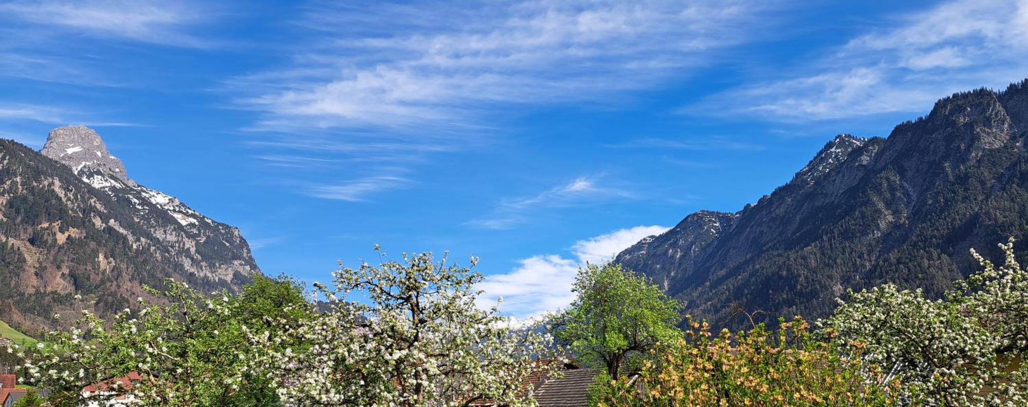Baers Mountain Stay Ausserbraz Innerbraz エクステリア 写真