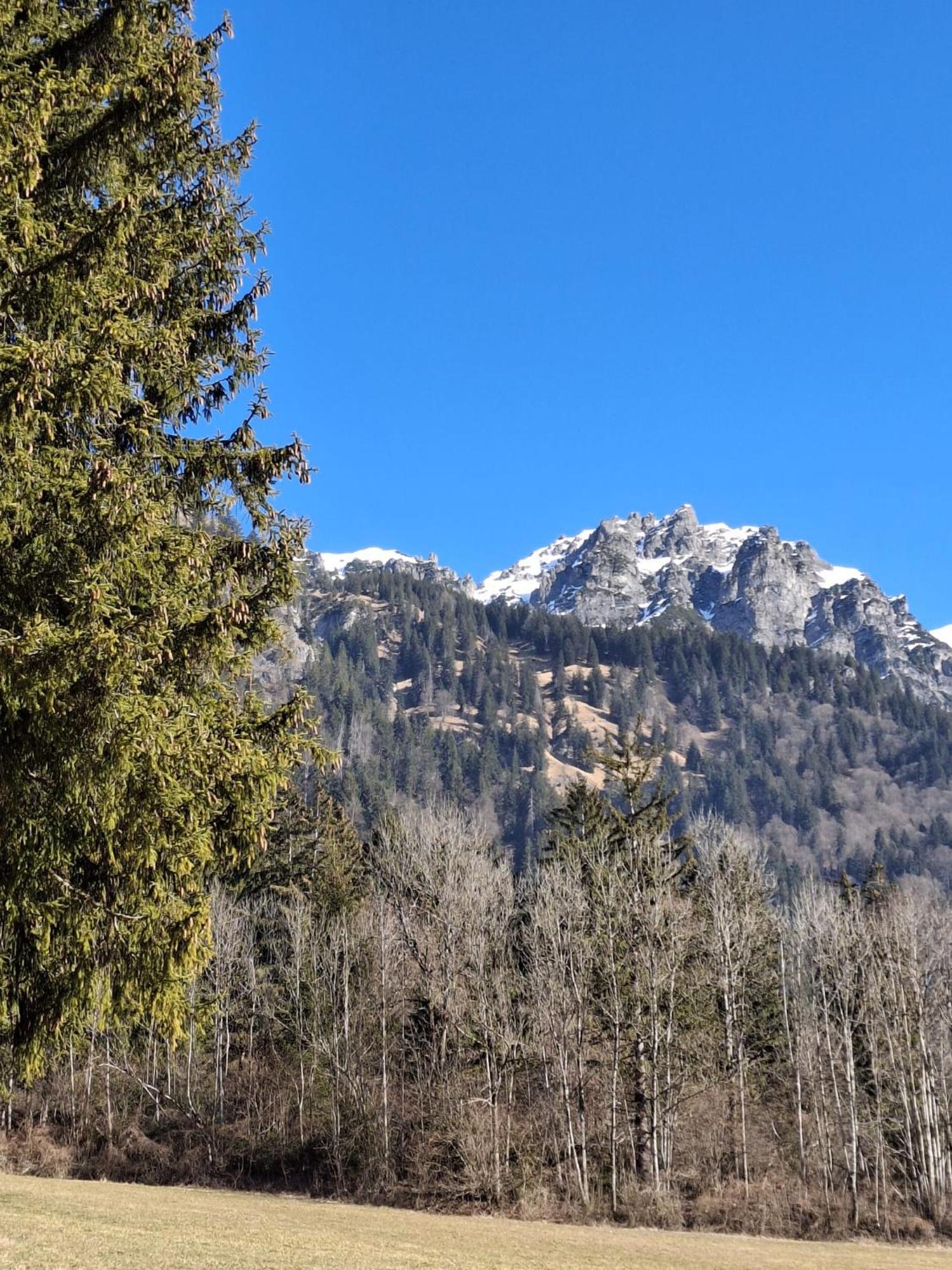 Baers Mountain Stay Ausserbraz Innerbraz エクステリア 写真